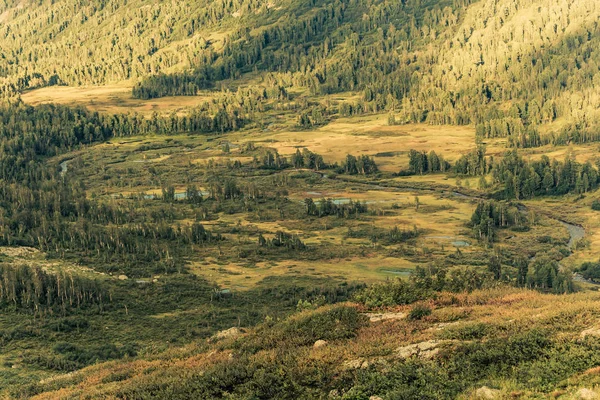 Fluss Und Seensystem Gebirgstal Blick Aus Der Höhe — Stockfoto