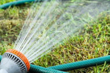 Çim sulama için bahçe yeşil hortumu