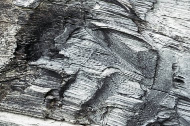 Ağaç kabuğu olmayan kuru bir ağaç gövdesi. Arkaplan olarak eski ahşap