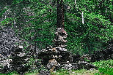 Ormandaki oryantasyon için taş kaydırağı. Dağlarda yürüyüş. Meditasyon, ruh hali dengesi. Doğada yoga dersleri.