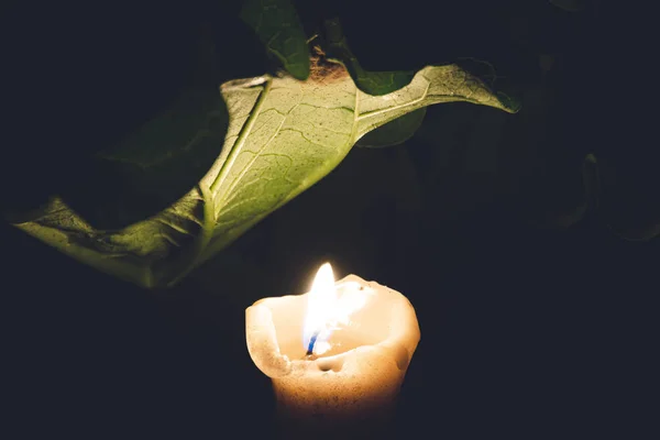 Ensamma Ljus Brinner Sommarträdgården Natten — Stockfoto