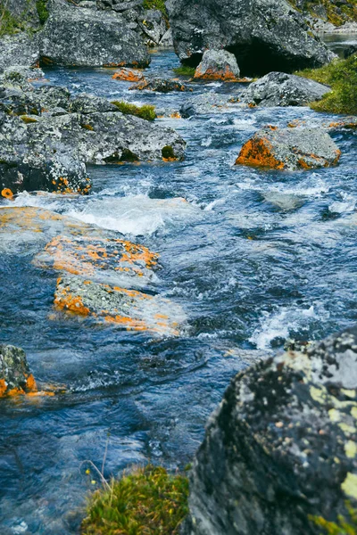 Sarı Taşlı Bir Dağ Deresi Irmağın Hızlı Akışı Kaynayan — Stok fotoğraf