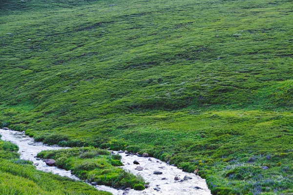 Yeşil Tepelerdeki Nehir Yeşil Çayırda Hızlı Akarsu — Stok fotoğraf