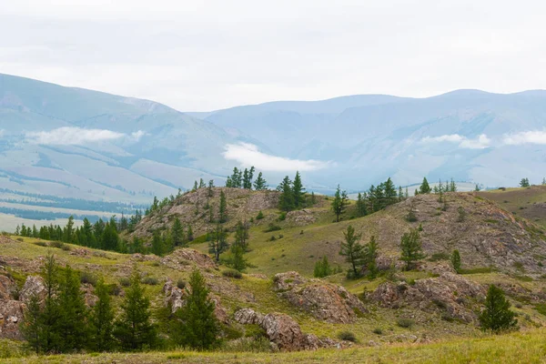 Bosque Pinos Valle Montaña Montaña Rocas Horizonte Bajo Las Nubes — Foto de Stock