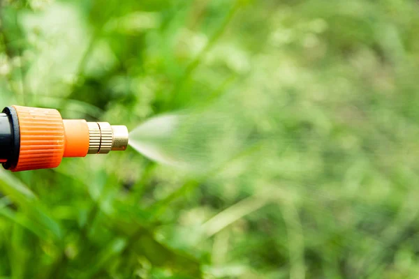 Besproeiingsbedden Planten Zomertuin Vanaf Sproeier — Stockfoto