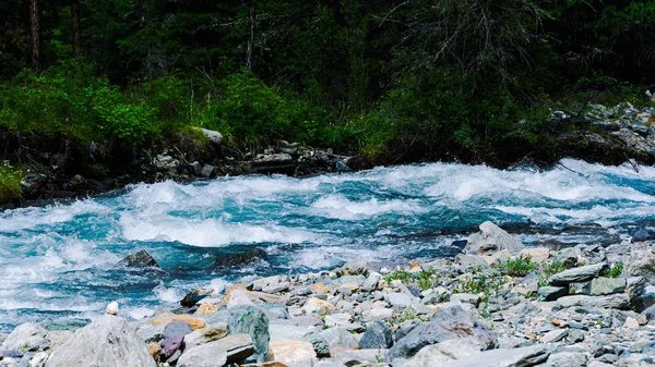 Bergsflod Sibirisk Taiga Snabb Bäck Barrskog Naturen Altai Bergen För — Stockfoto