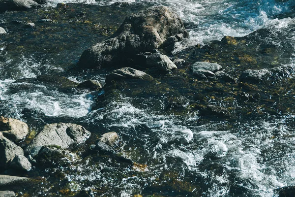 Swift Dağı Deresi Dağlarda Hızlı Nehir Taşların Arasında — Stok fotoğraf