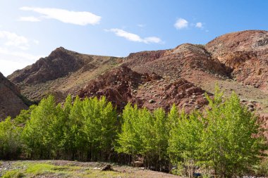 Mavi gökyüzünün altındaki kayalar. Dağ vadisinde güneşli bir gün. Renkli tepeler, yazın yürüyüş.