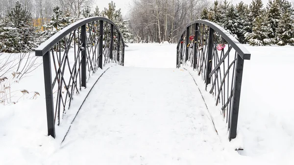 冬城公园桥梁金属护栏 — 图库照片
