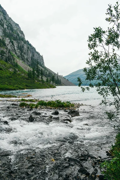 Ποταμός Τρεχούμενα Νερά Βράχια Ορεινό Ρέμα Ταξίδι Στην Κοιλάδα Του — Φωτογραφία Αρχείου