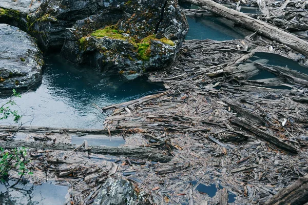 Stau Alter Bäume Fluss Staudamm Aus Baumstämmen Und Verschmutzung Der — Stockfoto