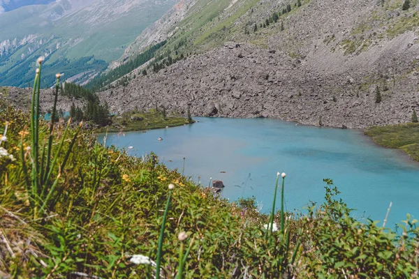 Blå Sjö Dalen Turkos Flod Klippor Vandring Bergen Altai Natur — Stockfoto