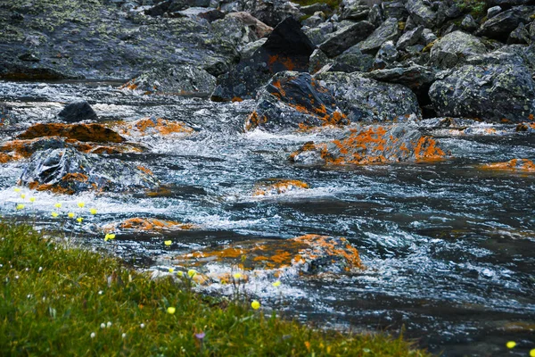 Fjällbäck Med Gula Stenar Snabbt Flöde Flod Kokande Vatten — Stockfoto