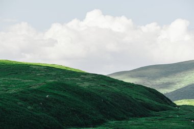 Yumuşak yeşil tepeler. Yeşil otlarla kaplı yumuşak yamaçlı çayırlar için dağ vadisi