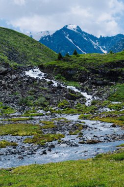 Swift Dağı deresi. Dağlarda hızlı nehir taşların arasında