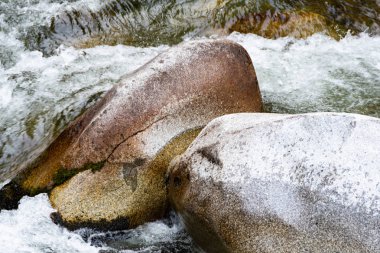 hızlı akan nehir. Kayaların arasındaki dağ deresi. Su turisti gezisi