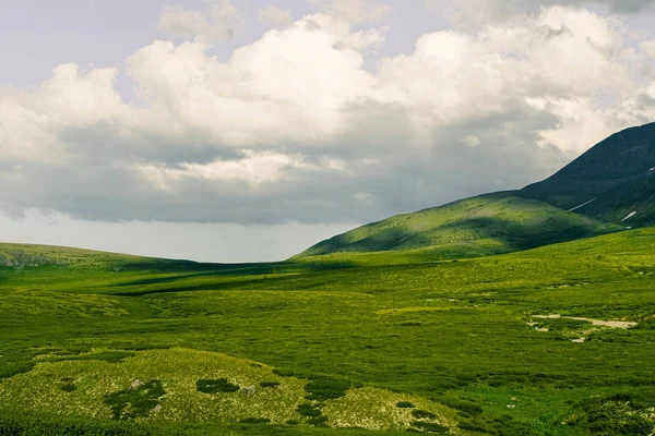 Zachte Heuvels Met Groen Gras Onder Bewolkte Hemel — Stockfoto