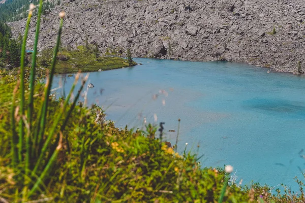 Kék Völgyben Türkiz Folyó Sziklákban Túrázás Hegyekben Altai Természet — Stock Fotó