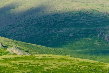 Güneşli bir günde yeşil çimenli çayır. Yürüyüş için yumuşak tepeler