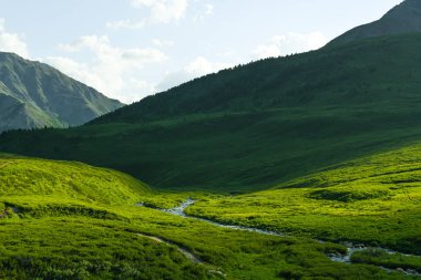 Yumuşak yeşil tepeler. Yeşil otlarla kaplı yumuşak yamaçlı çayırlar için dağ vadisi