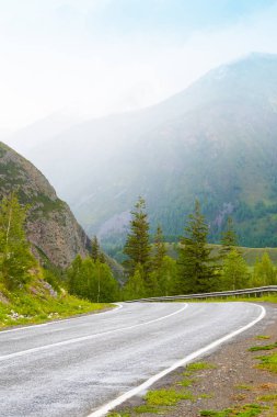 Dağ vadisindeki asfalt yolda ufukta kayalar var. Vahşi doğada arabayla rahat bir yolculuk.