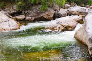 Nehrin kayalık yatağı, kaynayan akıntılı hızlı dağ deresi. Su vadisinde doğaya yolculuk