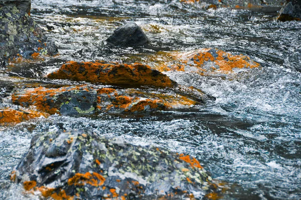 Fluxo Montanha Com Pedras Amarelas Fluxo Rápido Rio Água Fervente — Fotografia de Stock