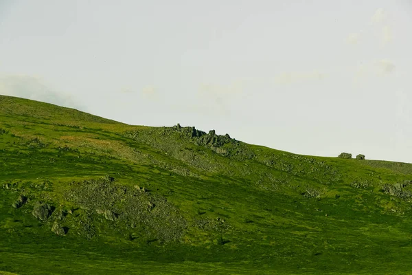 Мягкие Холмы Зеленой Травой Облачным Небом — стоковое фото