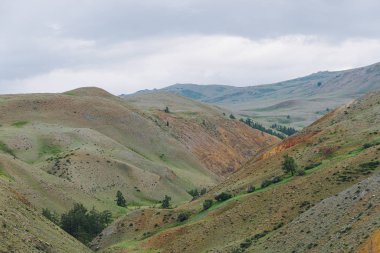 Kırmızı kumlu yamaçlı bir kanyon. Toprak erozyonu olan çöl tepeleri, kuraklık nedeniyle vadi oluşumu.