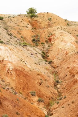 Kuru nehir yatağının kanyonundaki kayalar. İklim değişikliği yüzünden kuraklık. Tepelerin toprak erozyonu. Dağlarda kırmızı kum