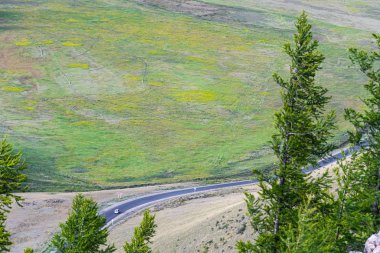 Tepeler ve ormanlar boyunca asfalt yol. Doğada yolculuk dağlarda