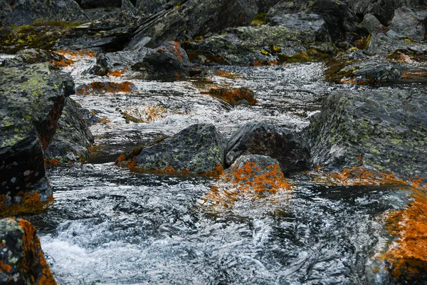 Ruscello Montagna Con Pietre Gialle Flusso Rapido Fiume Acqua Bollente — Foto Stock