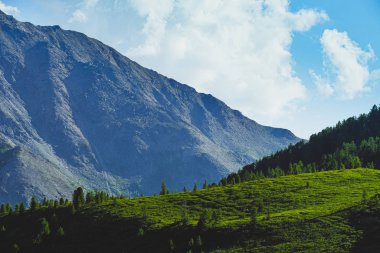 Dağ vadisinde kayalık tepe, yumuşak tepelerin yeşil yamaçları, dinlenmek ve meditasyon için doğanın güzelliği.