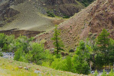 Kırmızı topraklı dağ kanyonu, geçitli nehir vadisi ve yeşil ağaçlar, toprak erozyonu, kuraklıktan kaynaklanan vadi oluşumu.