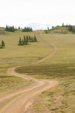 Sonbahar tarlasında toprak yol. Kırsal alandaki off-road 'a git.