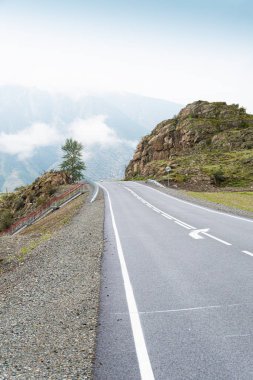 Dağ vadisindeki asfalt yolda ufukta kayalar var. Vahşi doğada arabayla rahat bir yolculuk.