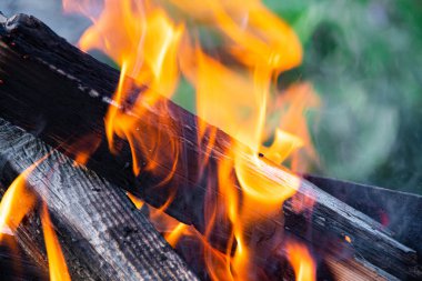 Ateş alevleri kömürlerin üzerinde yükselir. Açık hava eğlencesi için kamp ateşi, barbekü.