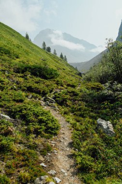 Ağaçların ve kayaların arasında yalnız taş patika, dağlarda yürüyüş, vadide seyahat