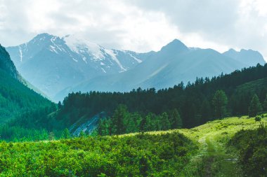 Ufukta çam ormanları ve kayalık tepeleri olan vadi, dağ turizmi, açık hava rahatlığı
