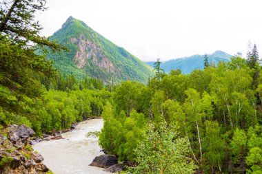 Dağ vadisinde nehir, taşların ve kayaların arasında su akıntısı, kıyıda ağaçlar, salda su turisti gezisi.
