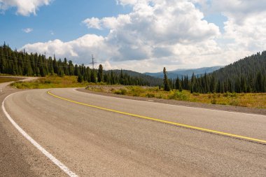 Kuru asfalt yol, ormandaki çizgiler, dağlara yolculuk.