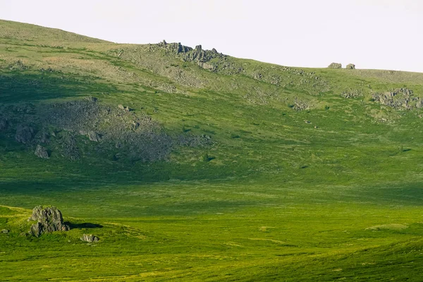 Yumuşak Yeşil Tepeler Yeşil Otlarla Kaplı Yumuşak Yamaçlı Çayırlar Için — Stok fotoğraf