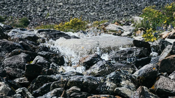 Свіфт Гірський Потік Швидка Річка Горах Серед Каменів — стокове фото