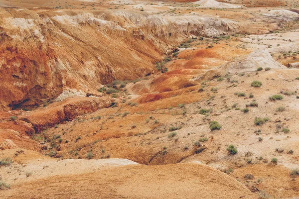 Tepelerdeki kırmızı kanyon. Kuraklıktan sonra toprak erozyonu, iklim değişikliği ve vadilerin oluşumu. Kuru bozkırda su eksikliği