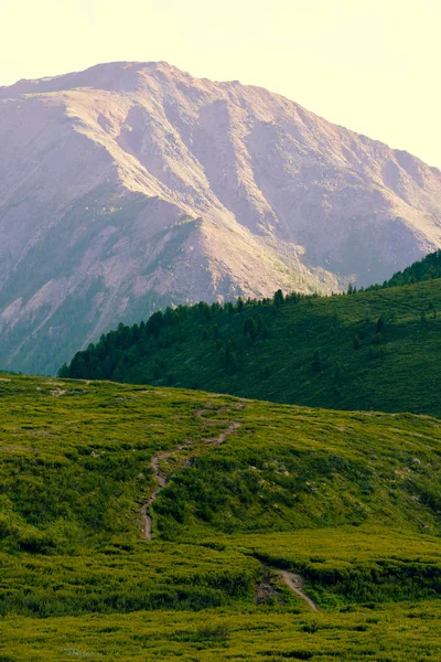 Felsrücken Horizont Gebirgstal Grüne Hänge Sanfter Hügel Schönheit Der Natur — Stockfoto