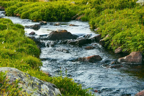 Yeşil Vadideki Dağ Deresi Nehir Yatağında Kayalar Taşlar Çayır Suları — Stok fotoğraf