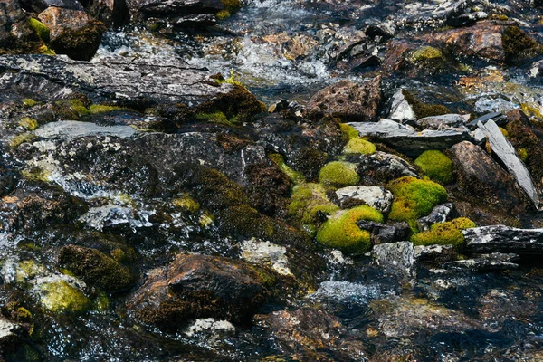 Γρήγορο Ορεινό Ρεύμα Γρήγορο Ποτάμι Στα Βουνά Ανάμεσα Πέτρες — Φωτογραφία Αρχείου