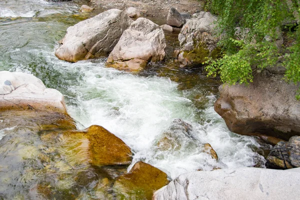 Fast Flowing River Mountain Stream Rocks Water Tourist Trip — Stock Photo, Image