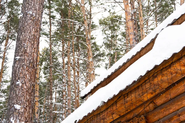 Nieve Techo Casa Madera Bosque Invierno Nevadas Frío Chasquido Casa — Foto de Stock