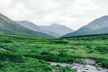 Mavi bulutlu gökyüzünün altındaki yeşil tepeler. Otlaklar için dağ vadisi
